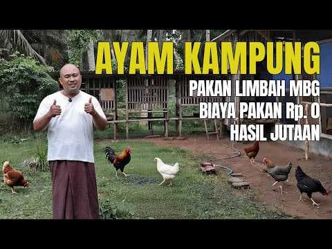 Thumbnail video Ternak Ayam Kampung Dengan Pakan Gratis: Cara Cerdas Hidup MANDIRI | Kang Awi Kangean Ep. 005