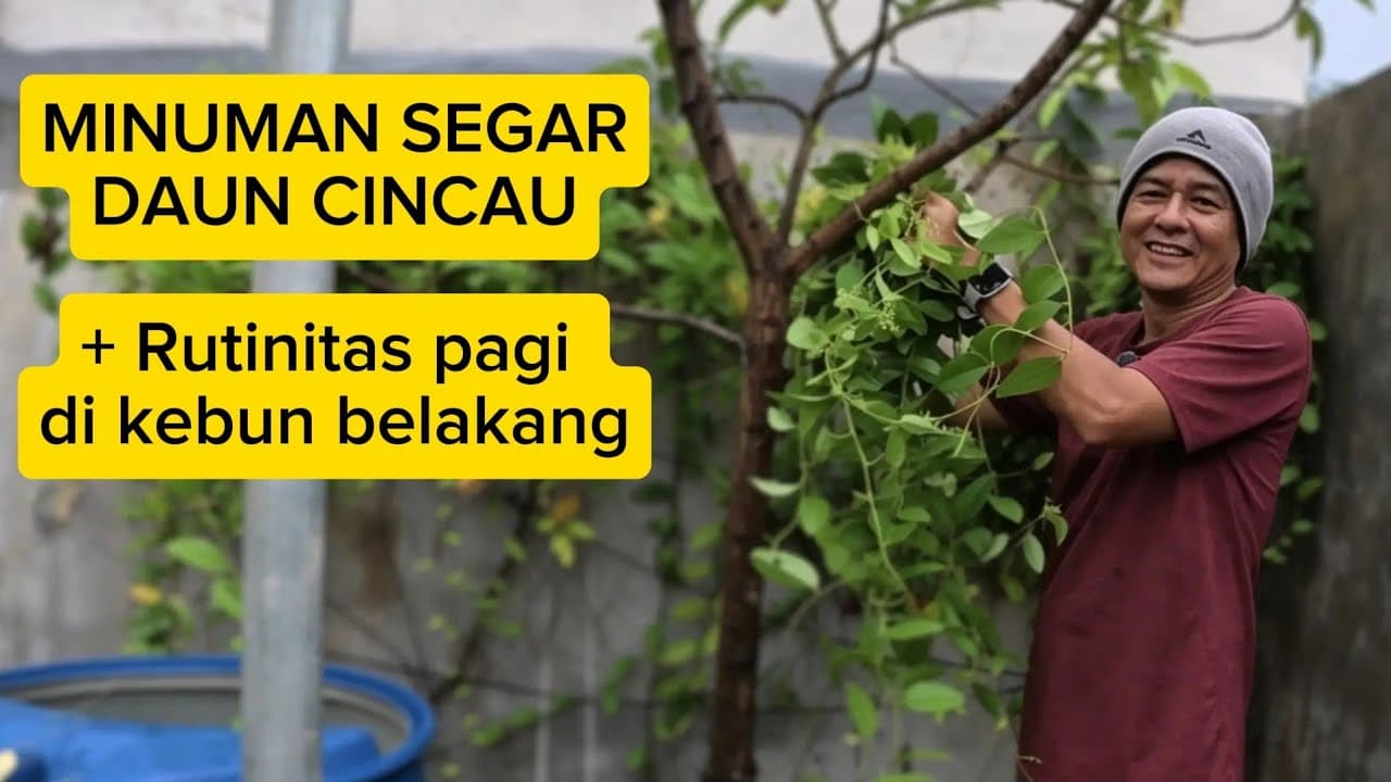 Thumbnail video Minuman Segar Cincau Daun dari Kebun Belakang | Rutinitas Slow Living