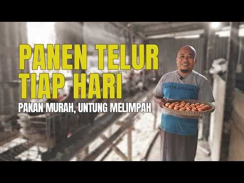 Thumbnail video Beternak Ayam Petelur Skala Rumahan: Cara Cerdas Hidup Mandiri dan AUTOPILOT | Kang Awi Ep. 007