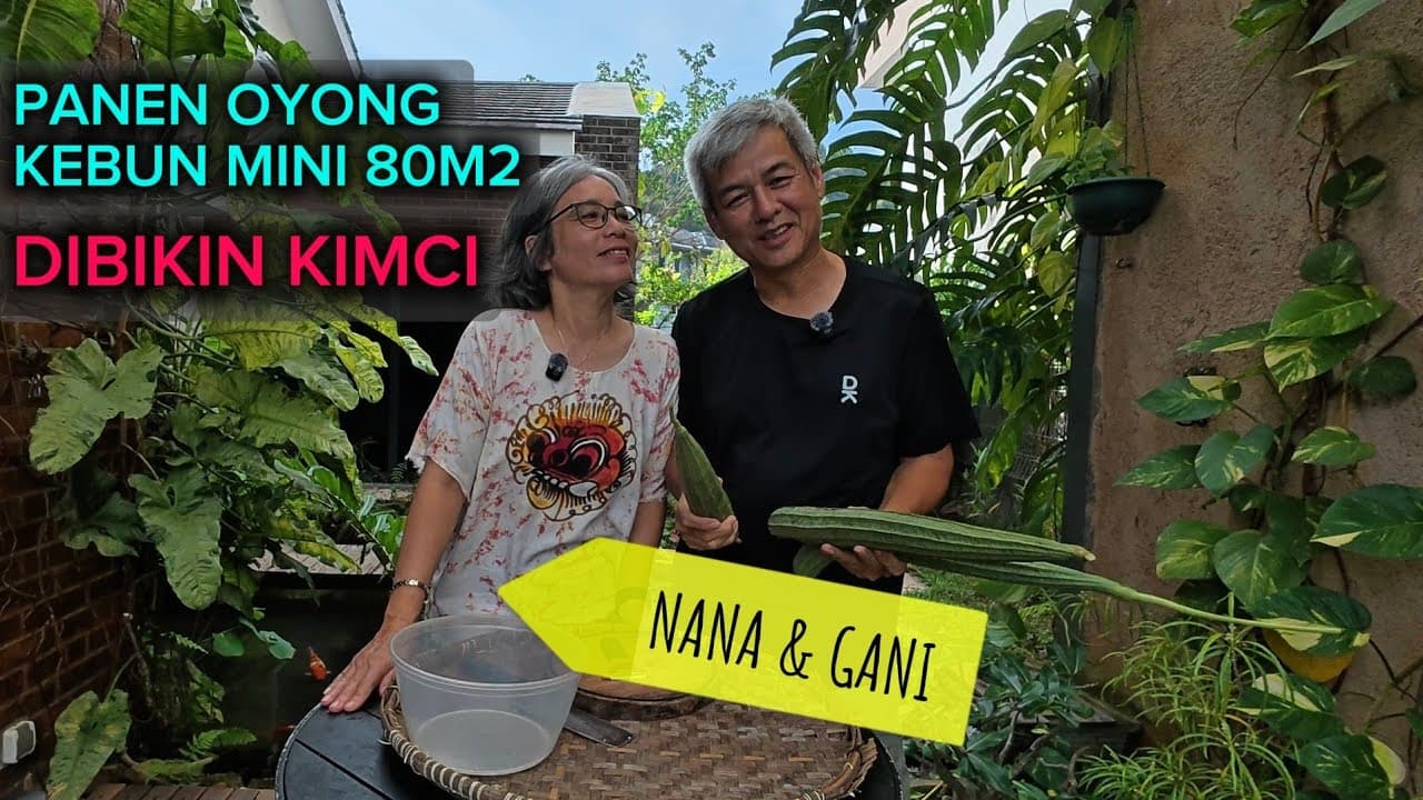 Thumbnail video Bikin Kimci dari Panen Oyong Berlebih | Kebun Mini 80m2.