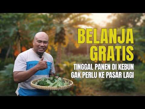 Thumbnail video Cara Hidup NYAMAN: Mengelola PASAR di Belakang Rumah Sendiri | Kang Awi Kangean Ep. 008