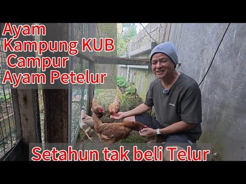 Thumbnail video Setahun Penuh Tak Beli Telur | Slow Living dengan Ayam Kampung
